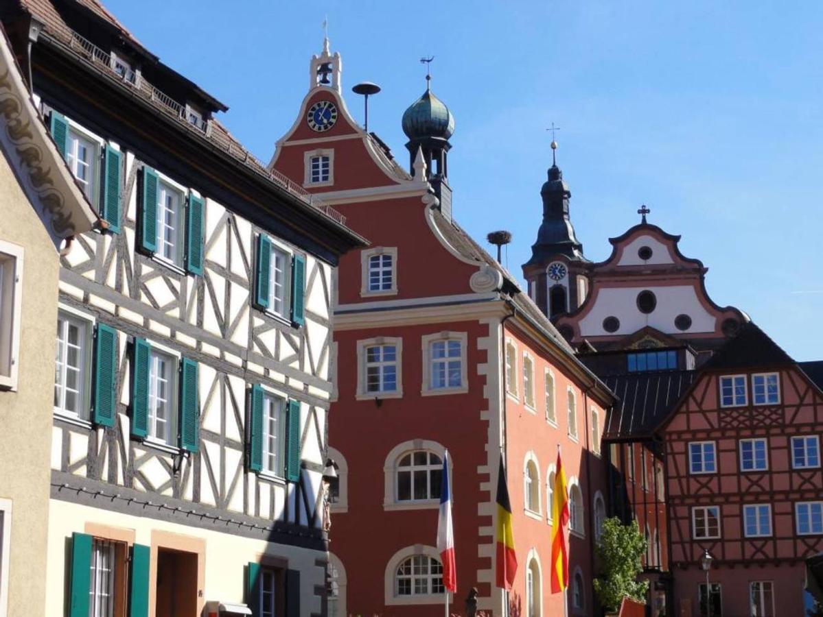 Perfekt Fuer Familien Und Gruppen Nur 10Min Vom Europapark - W6 Apartman Ettenheim Kültér fotó